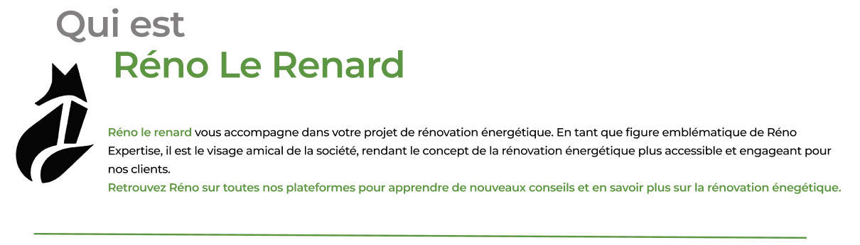 Qui est Réno le Renard